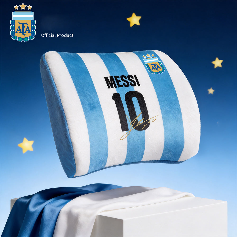 Argentina Jersey Back Pillow