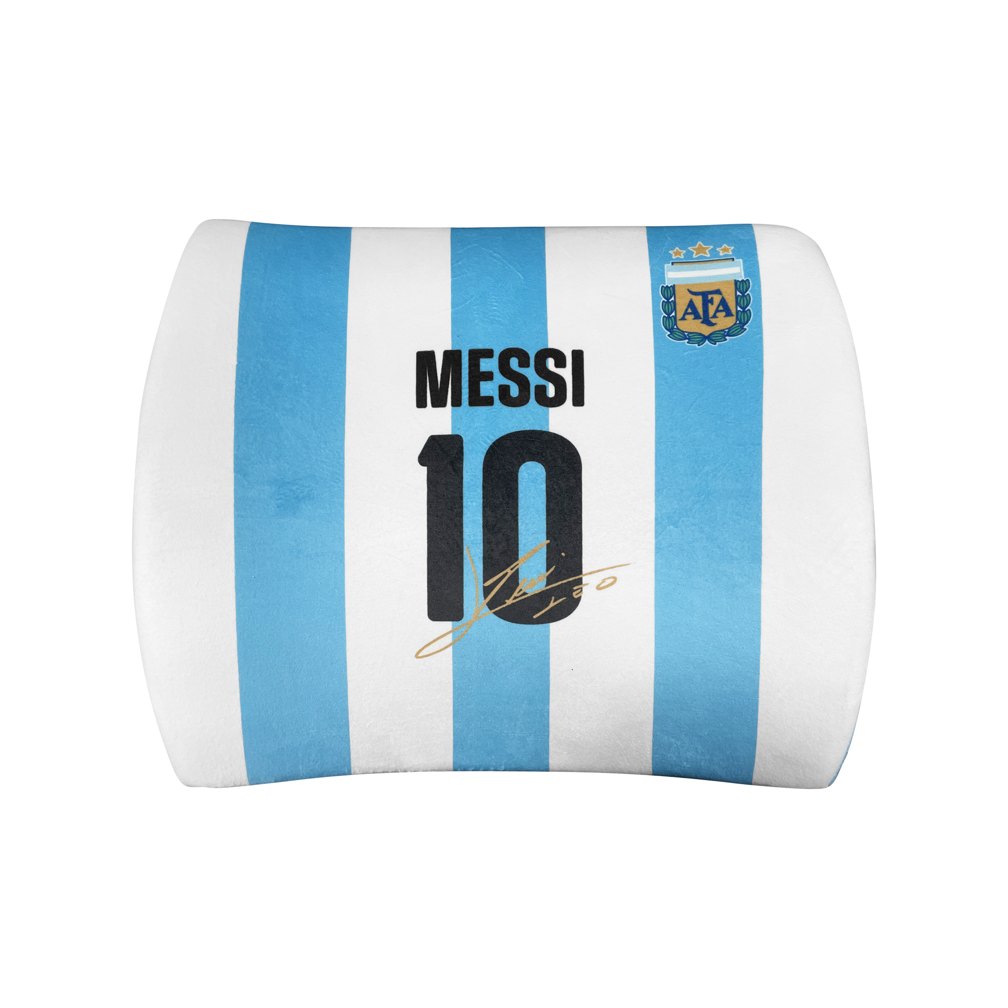 Argentina Jersey Back Pillow