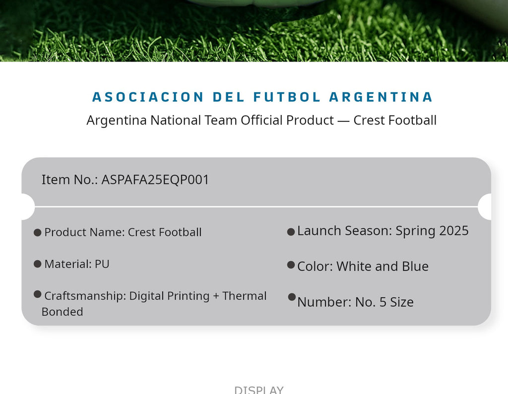 Lightning Bolt Team Logo Soccer Ball